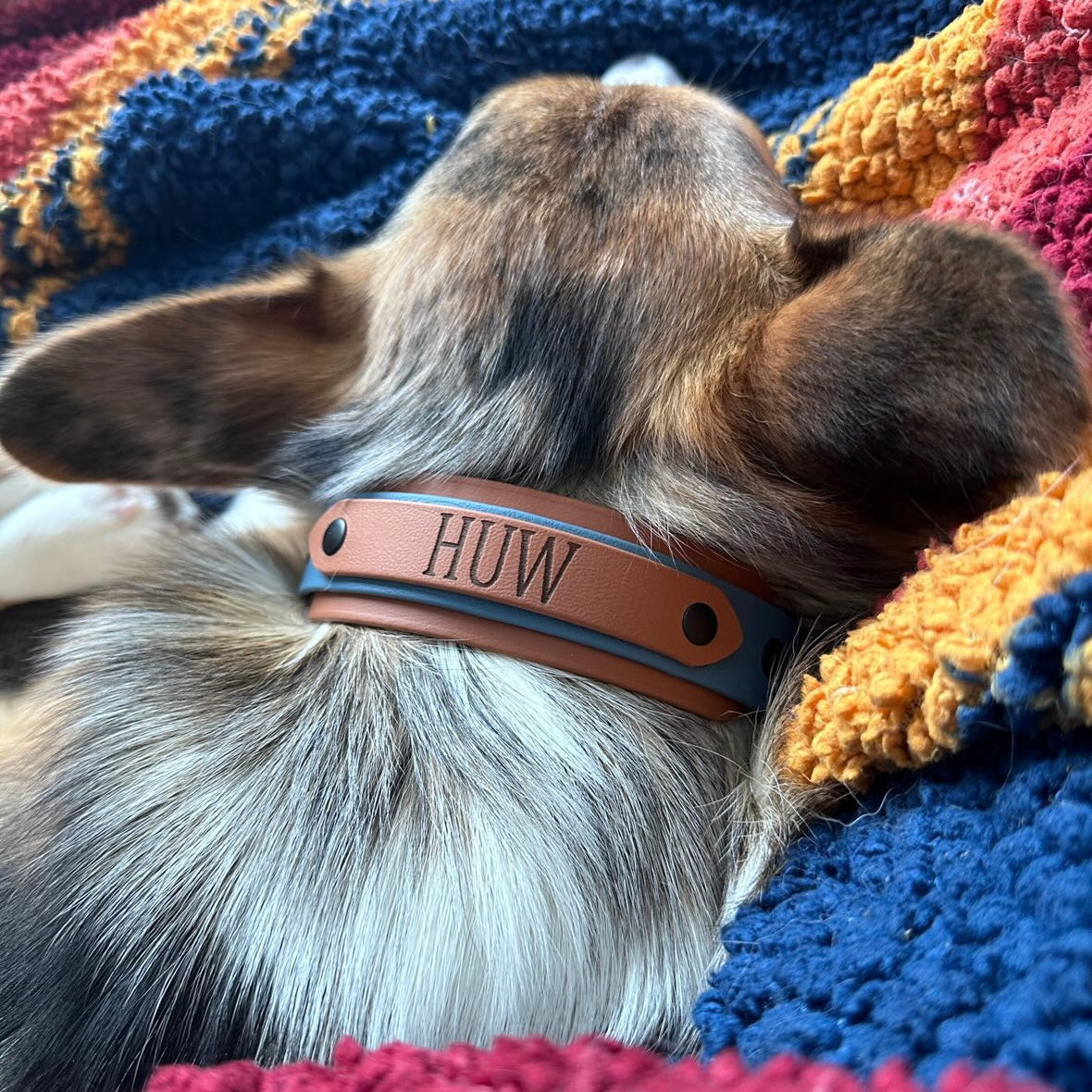 Name Tag Collar