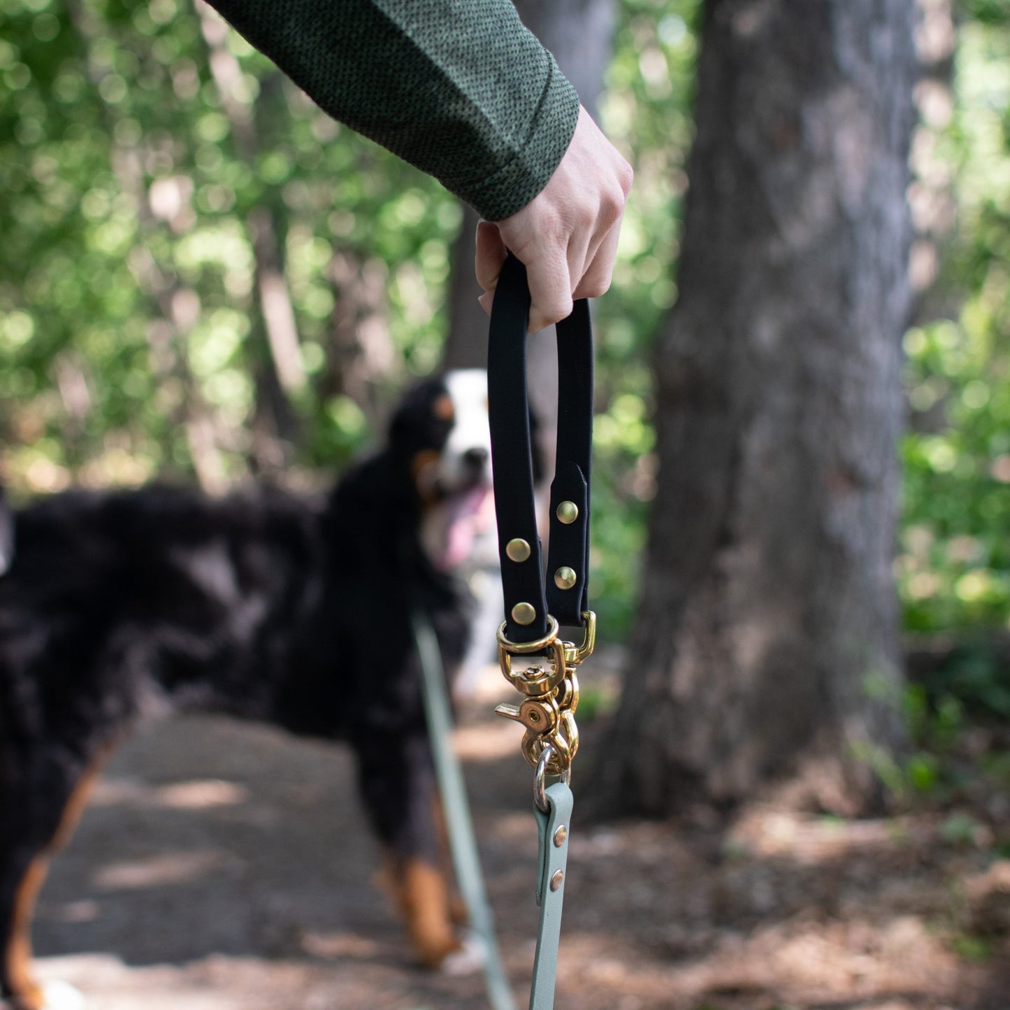 Long Line Handle - Pawtastic Expeditions