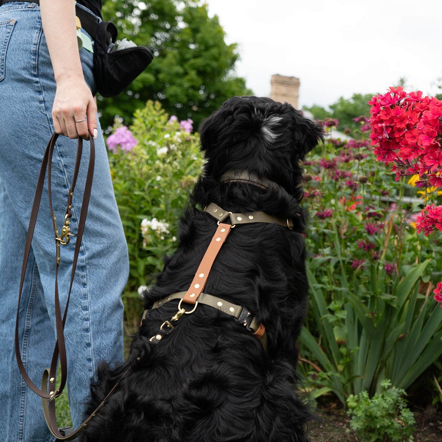 Back Clip Harness