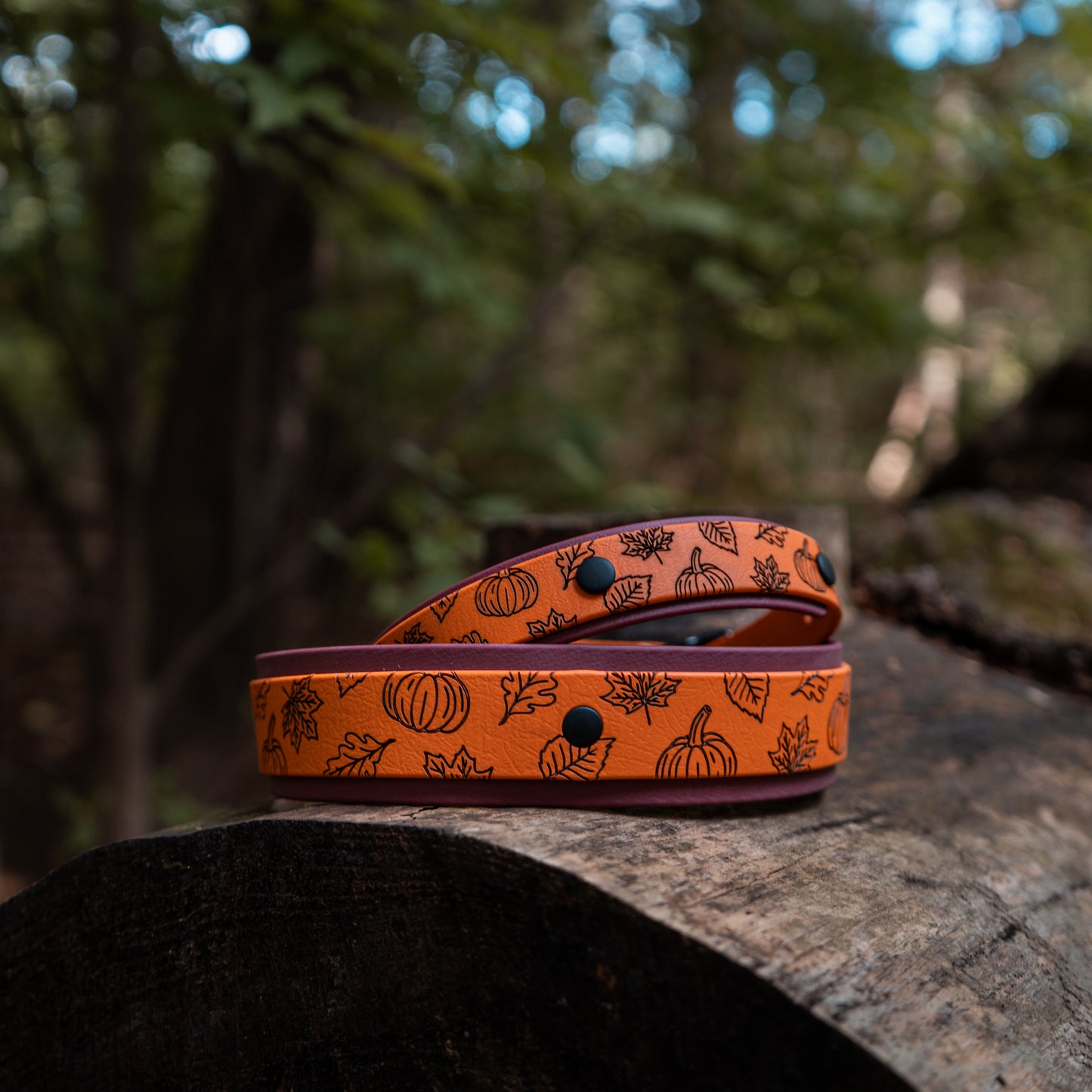 Pumpkin Collar