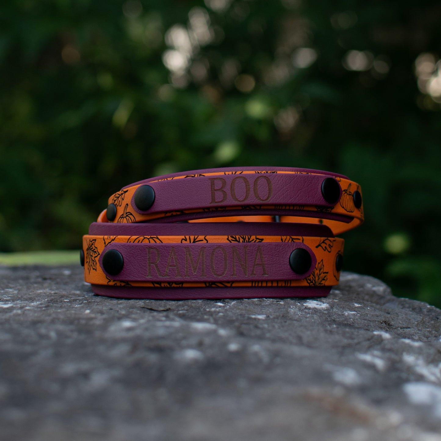 Pumpkin Spice Name Tag Collar