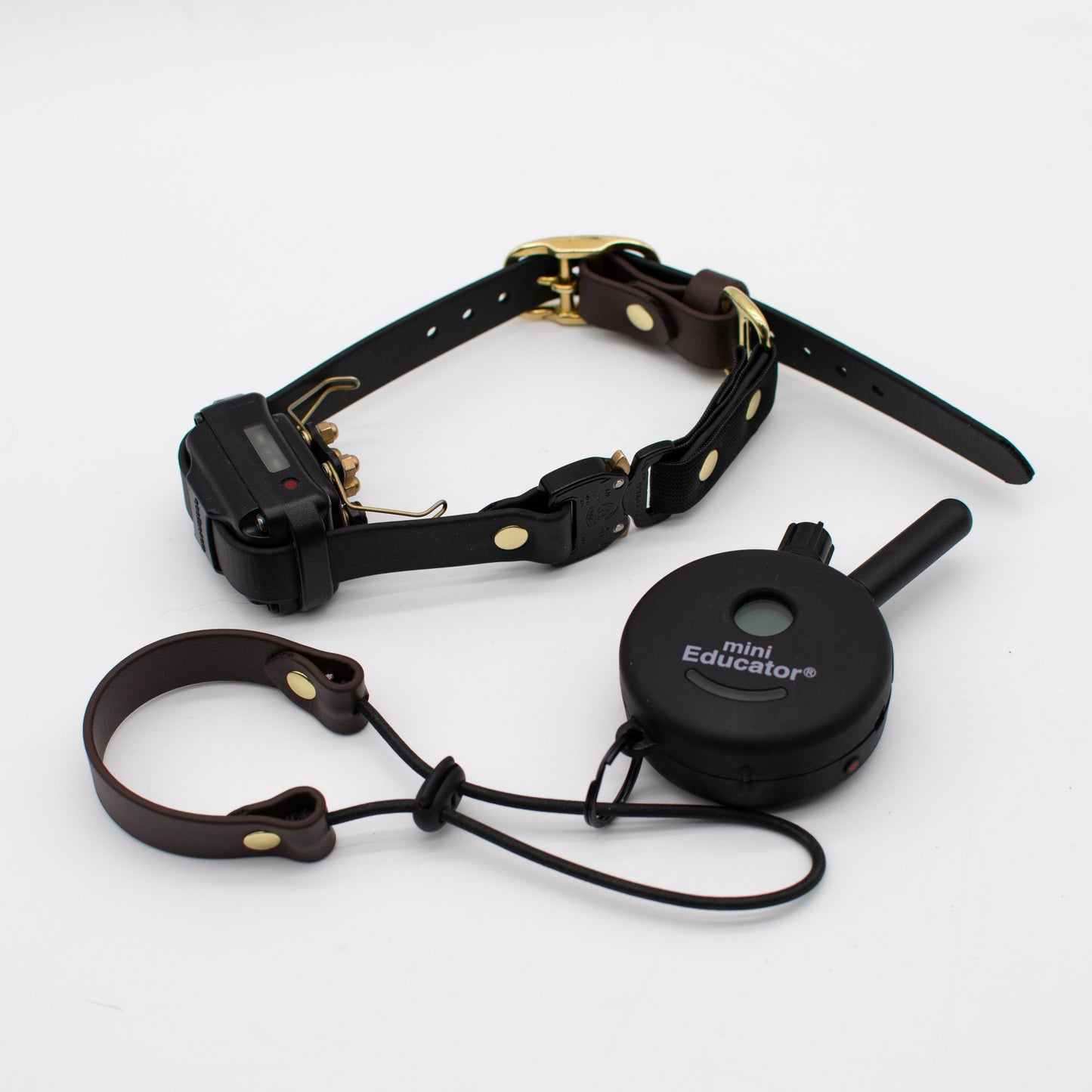 E-Collar Bundle