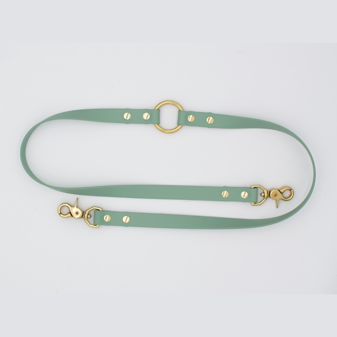 Double Trouble Leash Set