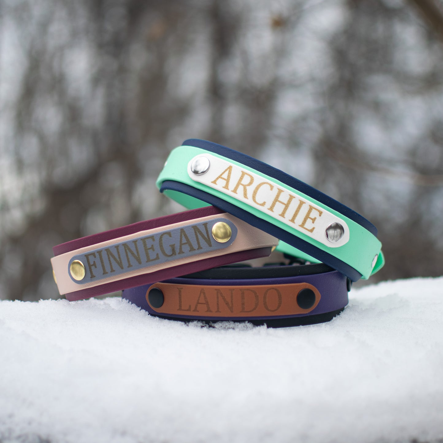 Name Tag Collar